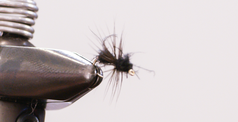 Wet Fly Ant